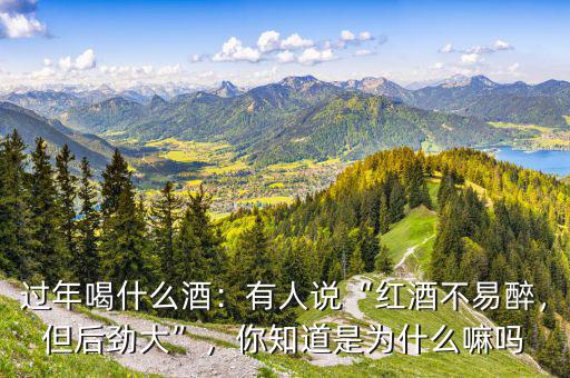 過(guò)年喝什么酒：有人說(shuō)“紅酒不易醉，但后勁大”，你知道是為什么嘛嗎
