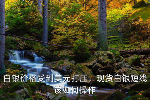 白銀價(jià)格受到美元打壓，現(xiàn)貨白銀短線(xiàn)該如何操作