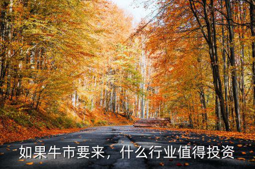 如果牛市要來(lái)，什么行業(yè)值得投資
