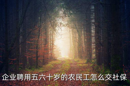 企業(yè)聘用五六十歲的農民工怎么交社保
