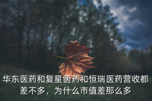 華東醫(yī)藥和復(fù)星醫(yī)藥和恒瑞醫(yī)藥營(yíng)收都差不多，為什么市值差那么多