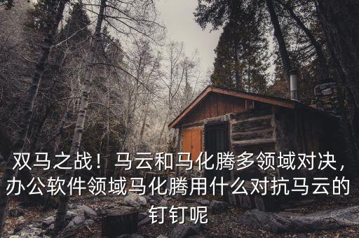 雙馬之戰(zhàn)！馬云和馬化騰多領(lǐng)域?qū)Q，辦公軟件領(lǐng)域馬化騰用什么對抗馬云的釘釘呢