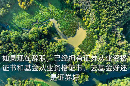 如果現(xiàn)在辭職，已經(jīng)擁有證券從業(yè)資格證書和基金從業(yè)資格證書，去基金好還是證券好