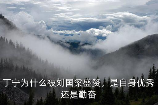 丁寧為什么被劉國(guó)梁盛贊，是自身優(yōu)秀還是勤奮