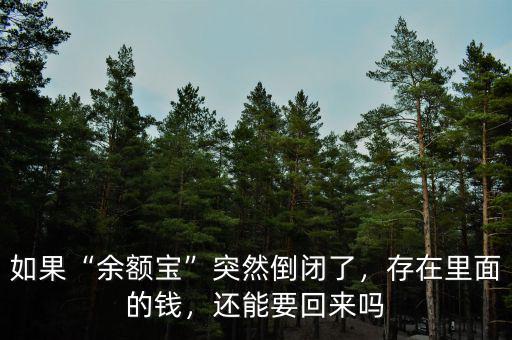 如果“余額寶”突然倒閉了，存在里面的錢，還能要回來嗎
