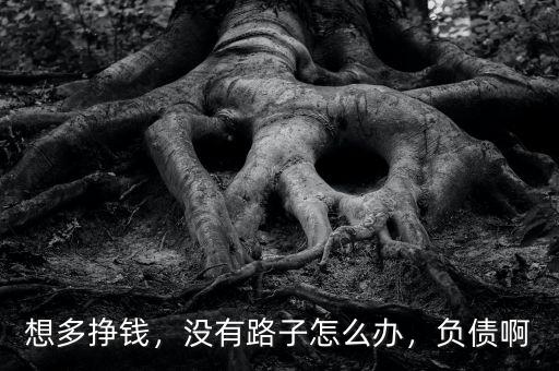 想多掙錢，沒有路子怎么辦，負債啊