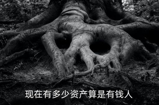 現(xiàn)在有多少資產算是有錢人