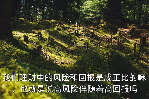 我們理財中的風(fēng)險和回報是成正比的嘛，也就是說高風(fēng)險伴隨著高回報嗎