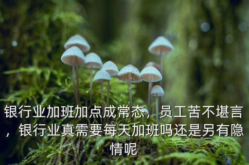 銀行業(yè)加班加點成常態(tài)，員工苦不堪言，銀行業(yè)真需要每天加班嗎還是另有隱情呢