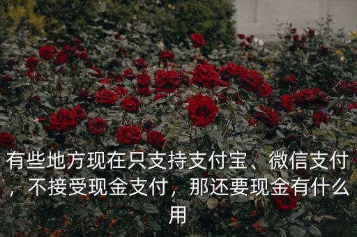 有些地方現(xiàn)在只支持支付寶、微信支付，不接受現(xiàn)金支付，那還要現(xiàn)金有什么用