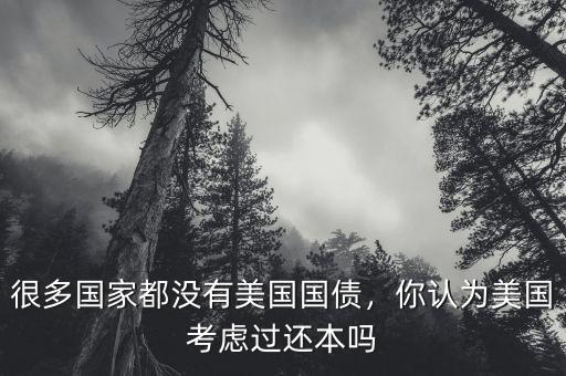 很多國家都沒有美國國債，你認為美國考慮過還本嗎
