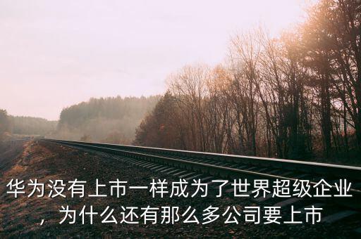 華為沒有上市一樣成為了世界超級企業(yè)，為什么還有那么多公司要上市