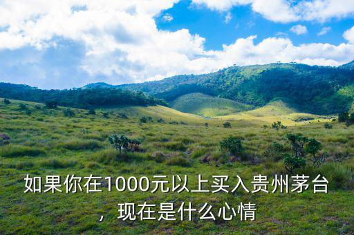 如果你在1000元以上買(mǎi)入貴州茅臺(tái)，現(xiàn)在是什么心情