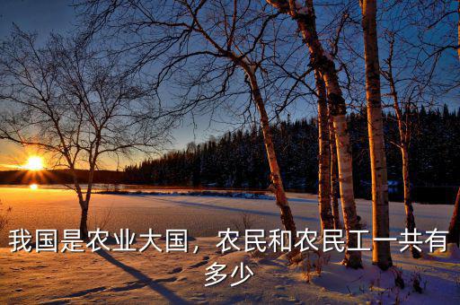 我國是農(nóng)業(yè)大國，農(nóng)民和農(nóng)民工一共有多少