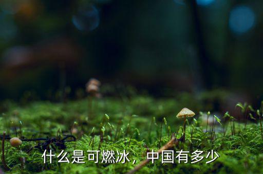 什么是可燃冰，中國(guó)有多少