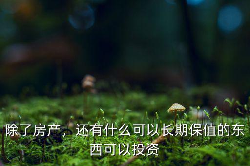 除了房產(chǎn)，還有什么可以長期保值的東西可以投資