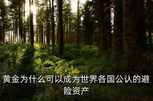 黃金為什么可以成為世界各國公認(rèn)的避險資產(chǎn)