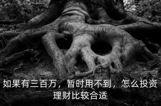 如果有三百萬，暫時用不到，怎么投資理財比較合適