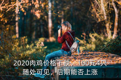 2020肉雞價(jià)格下跌，100元4只隨處可見(jiàn)，后期能否上漲
