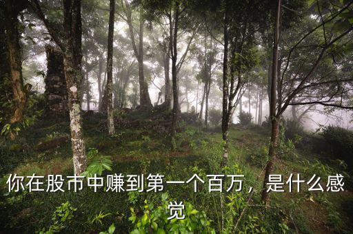 你在股市中賺到第一個(gè)百萬，是什么感覺