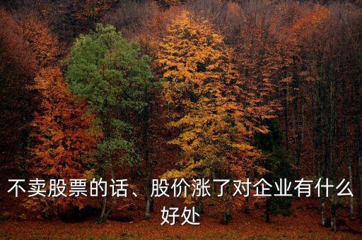 不賣股票的話、股價(jià)漲了對企業(yè)有什么好處