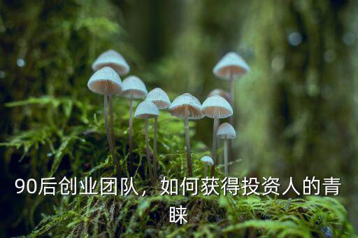90后創(chuàng)業(yè)團(tuán)隊(duì)，如何獲得投資人的青睞