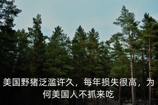 美國野豬泛濫許久，每年損失很高，為何美國人不抓來吃
