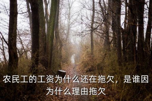 農(nóng)民工的工資為什么還在拖欠，是誰因?yàn)槭裁蠢碛赏锨? class=