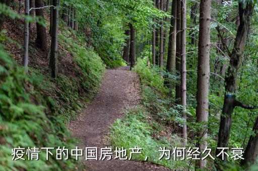 疫情下的中國房地產(chǎn)，為何經(jīng)久不衰