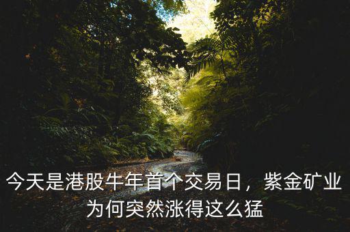 今天是港股牛年首個交易日，紫金礦業(yè)為何突然漲得這么猛
