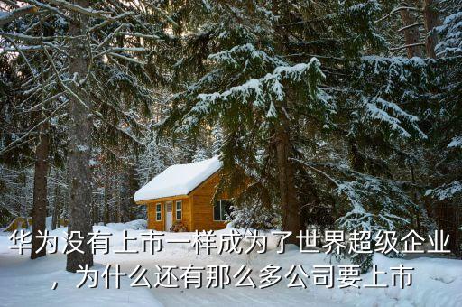 華為沒有上市一樣成為了世界超級企業(yè)，為什么還有那么多公司要上市