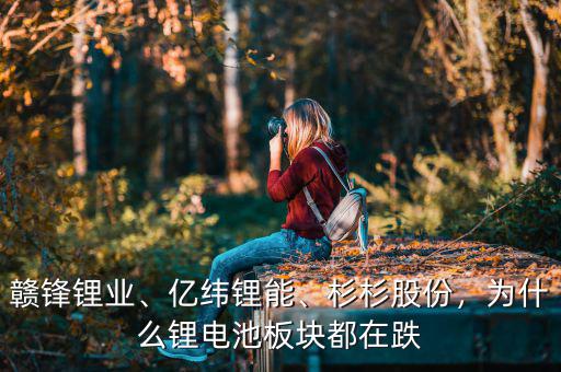 贛鋒鋰業(yè)、億緯鋰能、杉杉股份，為什么鋰電池板塊都在跌