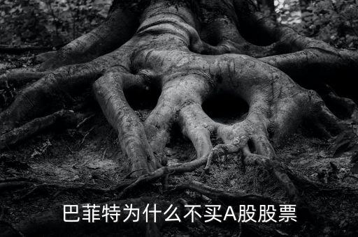 巴菲特什么時(shí)候買(mǎi)的比亞迪股票,為什么說(shuō)帶輪子的股票不能買(mǎi)