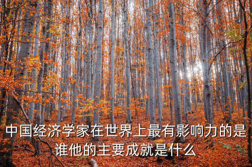 中國經(jīng)濟學家在世界上最有影響力的是誰他的主要成就是什么