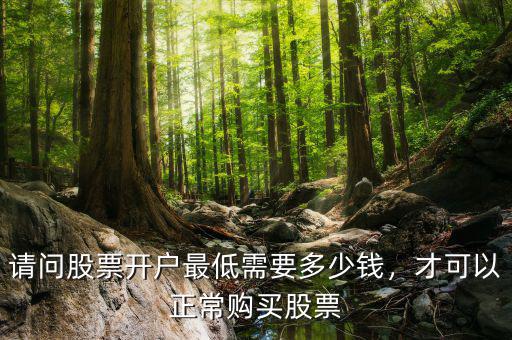 請(qǐng)問(wèn)股票開(kāi)戶最低需要多少錢，才可以正常購(gòu)買股票