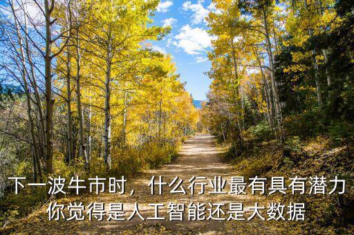 下一波牛市時(shí)，什么行業(yè)最有具有潛力你覺得是人工智能還是大數(shù)據(jù)