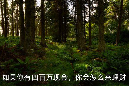 如果你有四百萬現(xiàn)金，你會怎么來理財