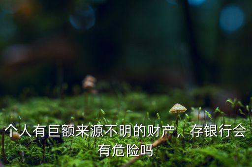 個人有巨額來源不明的財產(chǎn)，存銀行會有危險嗎