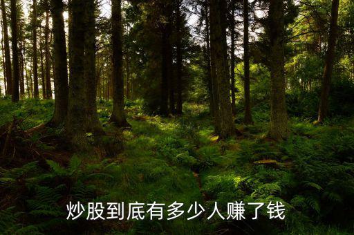 炒股到底有多少人賺了錢(qián)