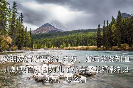 女朋友結婚要彩禮百萬，婚后婆婆知道兒媳要百萬因為兒子小舅子結婚彩禮88萬，怎么看