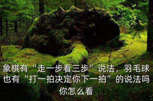 象棋有“走一步看三步”說法，羽毛球也有“打一拍決定你下一拍”的說法嗎你怎么看