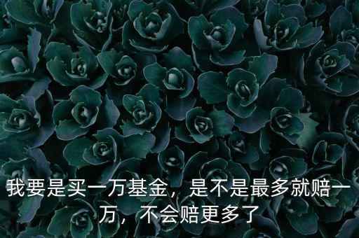 我要是買一萬基金，是不是最多就賠一萬，不會(huì)賠更多了