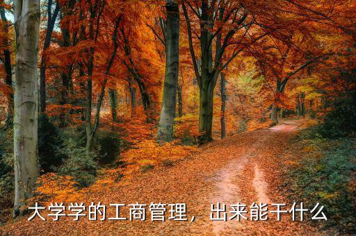 大學(xué)學(xué)的工商管理，出來能干什么