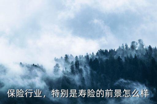 保險行業(yè)，特別是壽險的前景怎么樣