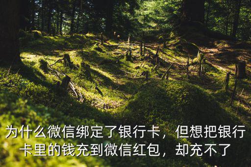 為什么微信綁定了銀行卡，但想把銀行卡里的錢充到微信紅包，卻充不了