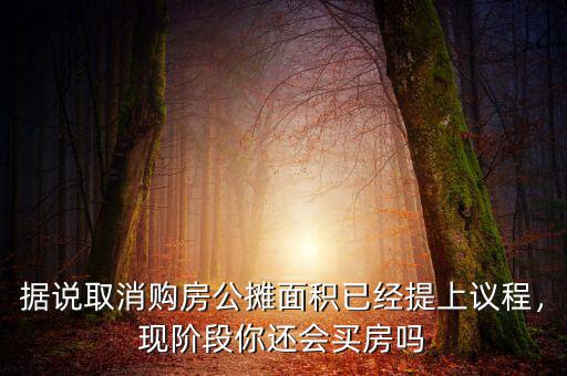據(jù)說取消購房公攤面積已經(jīng)提上議程，現(xiàn)階段你還會(huì)買房嗎