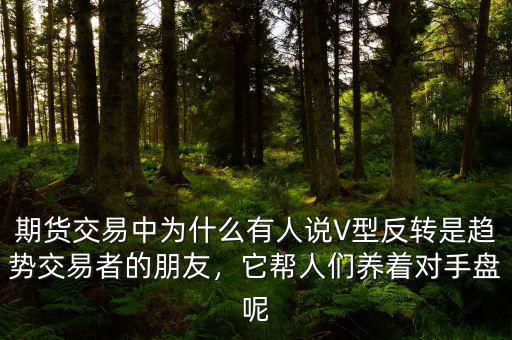 期貨交易中為什么有人說(shuō)V型反轉(zhuǎn)是趨勢(shì)交易者的朋友，它幫人們養(yǎng)著對(duì)手盤呢