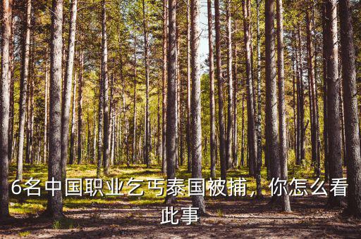 6名中國職業(yè)乞丐泰國被捕，你怎么看此事