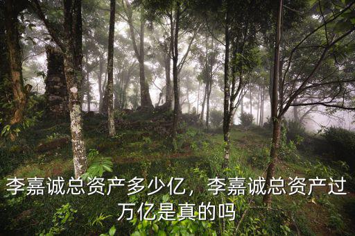 李嘉誠總資產(chǎn)多少億，李嘉誠總資產(chǎn)過萬億是真的嗎