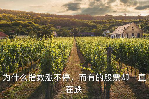 為什么指數(shù)漲不停，而有的股票卻一直在跌